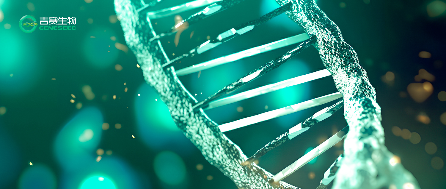 中药的现代化研究：DRUG-seq联合多组学技术重新定义中药质量研究