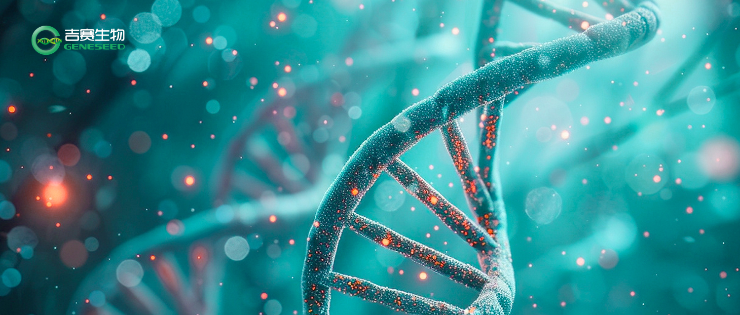 多组学技术：创新药物研发的加速器