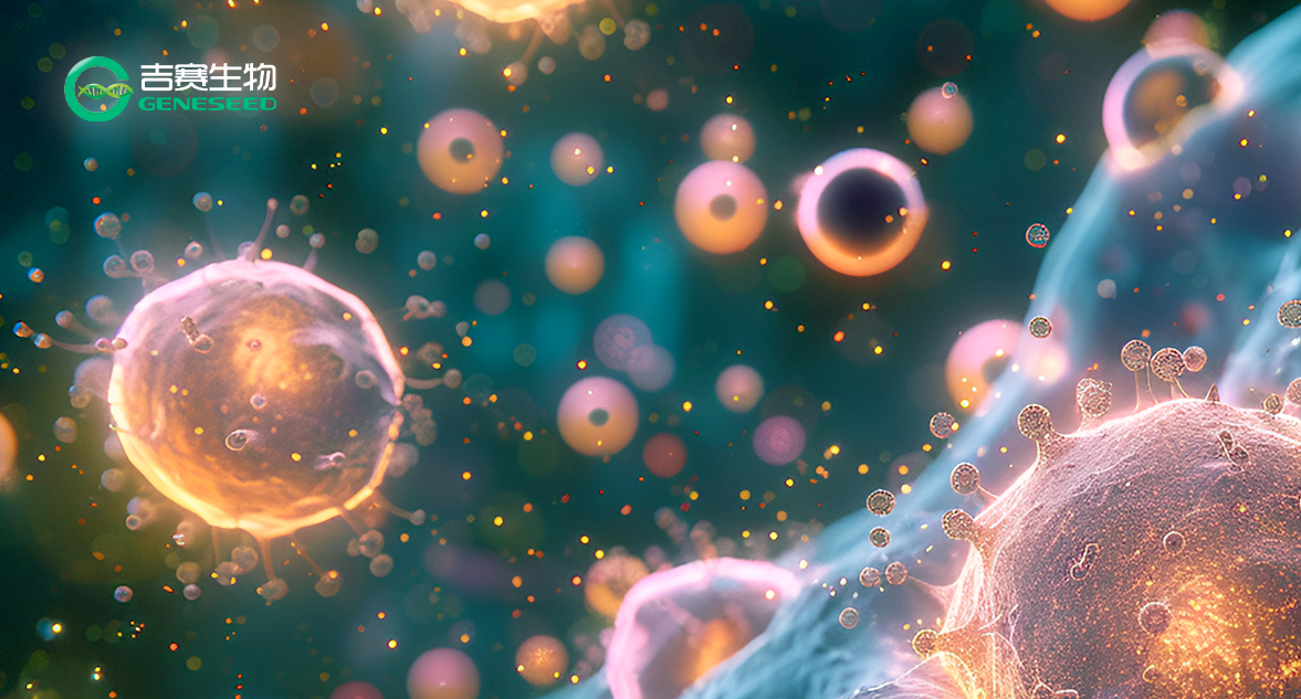 升级服务！单细胞全转录组测序，解锁circRNA的单细胞分辨率视野！