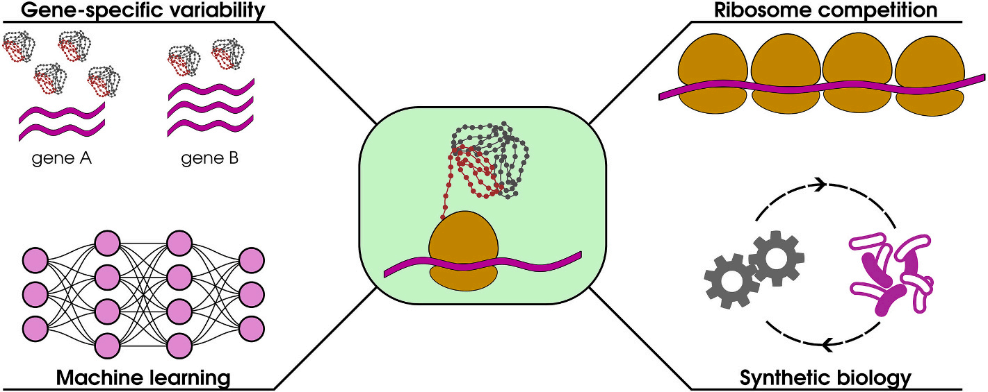 一个样本，三个世界：转录组vs翻译组vs蛋白组，你知道它们究竟有多不一样吗？_吉赛生物