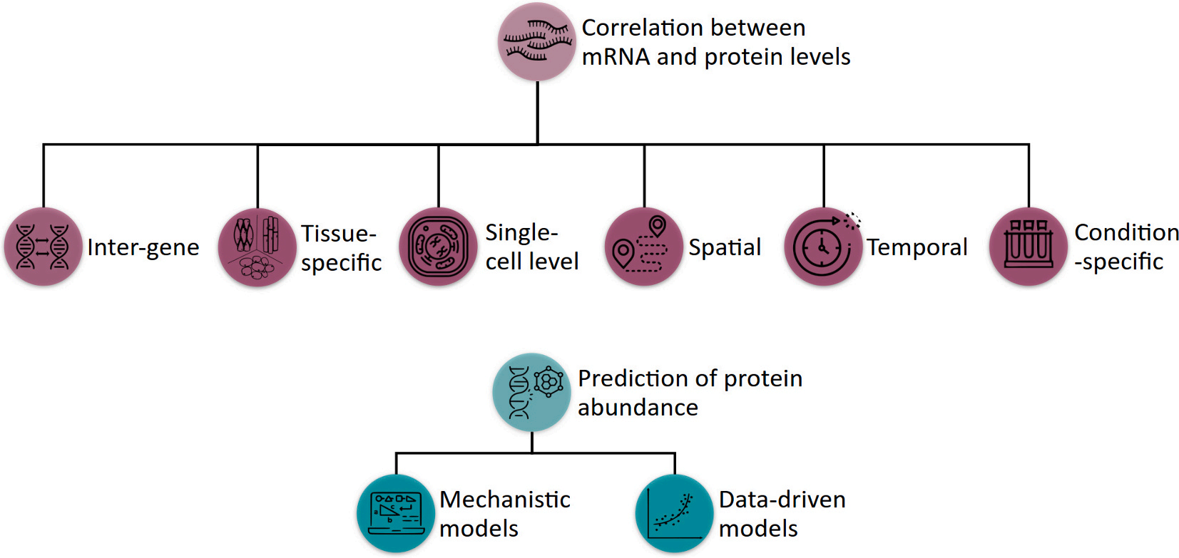 一个样本，三个世界：转录组vs翻译组vs蛋白组，你知道它们究竟有多不一样吗？_吉赛生物