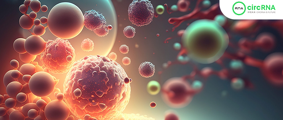 IND背后：中国circRNA药物是如何跑通的？