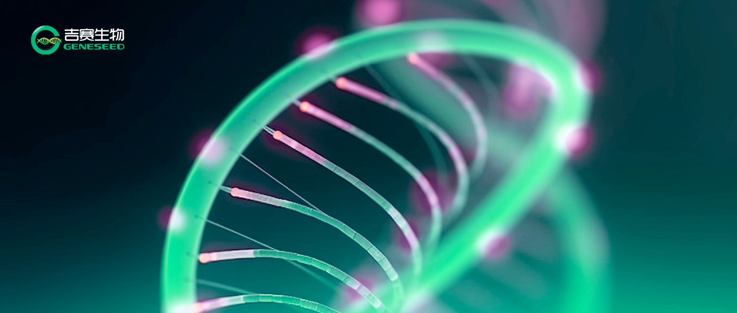 CAR 到底是什么？一文讲清“CAR 家族”与它们的重要地位（附In vivo CAR管线表）