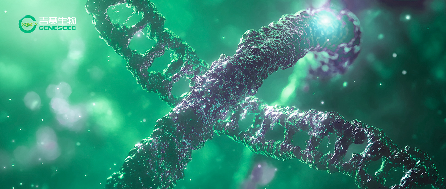 9个常用circRNA研究数据库，助力你的研究！