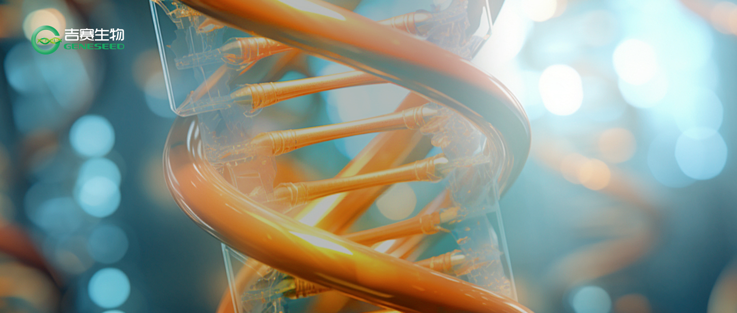 RNA-蛋白互作研究又有新技术！为什么RIP仍是机制验证的经典选择？